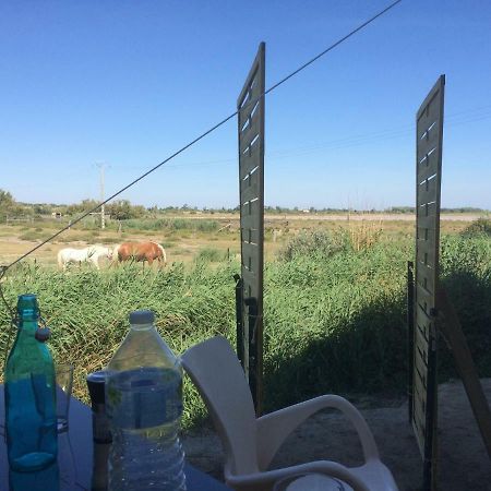 En Camargue Apartman Salin-de-Giraud Kültér fotó