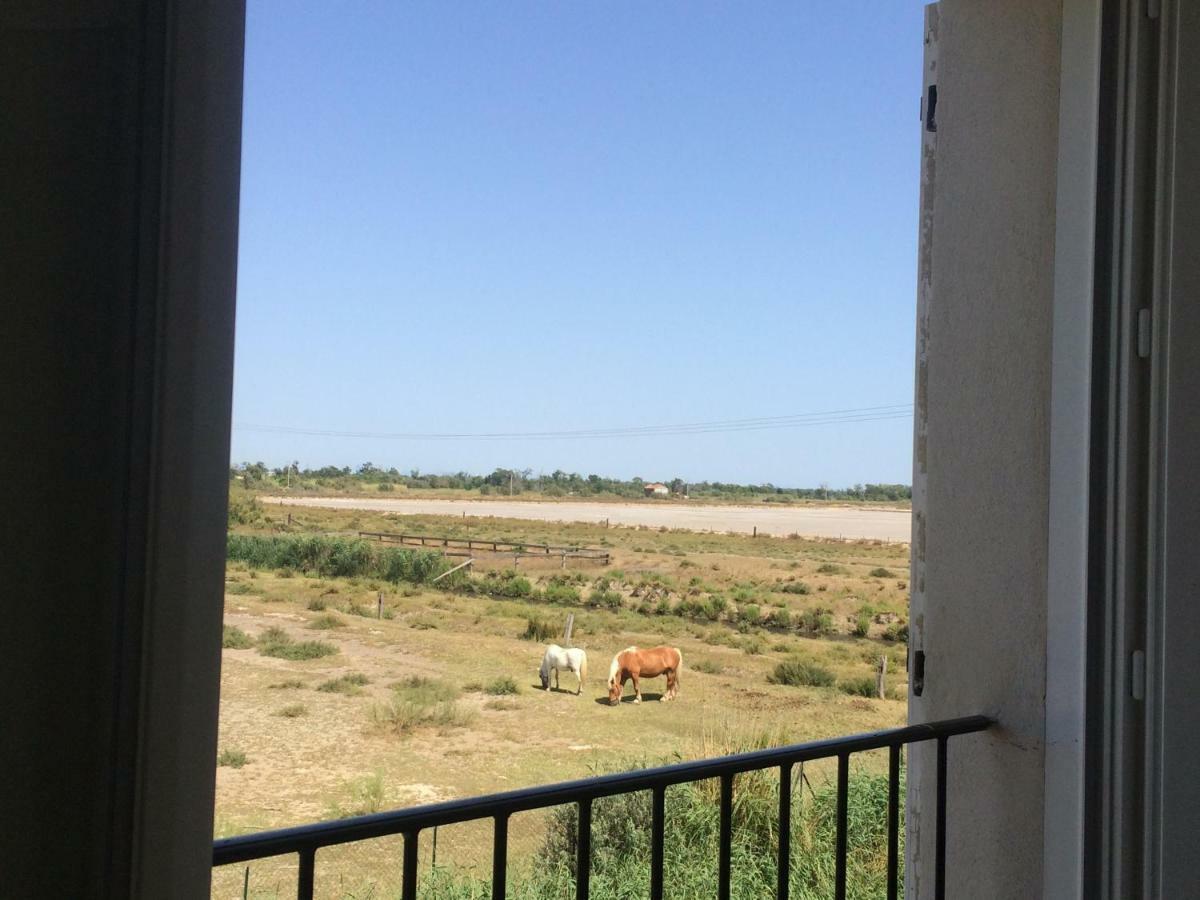En Camargue Apartman Salin-de-Giraud Kültér fotó